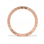 Aarinya Aurelia Eternity Band, Classic Bordered Round Diamond Band