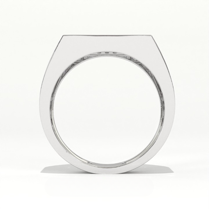 Aarinya Men's Multi-Row Diamond Signet Ring, The Grand Tiered Men's General Ring, The Matrix Channel Men's Ring