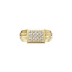 Aarinya Beveled Matrix Lab Grown Diamond Signet Ring, The Imperial Lab grown diamond Cluster Ring