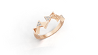 Aarinya Celestial Radiance Halo Ring, The Majestic Step Halo Ring