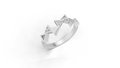 Aarinya Celestial Radiance Halo Ring, The Majestic Step Halo Ring