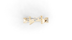 Aarinya Celestial Radiance Halo Ring, The Majestic Step Halo Ring