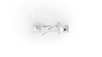 Aarinya Celestial Radiance Halo Ring, The Majestic Step Halo Ring